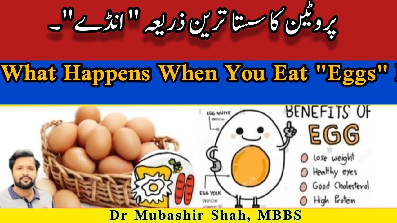 Cheapest Source Of Protein are Eggs Best Protein Supplements